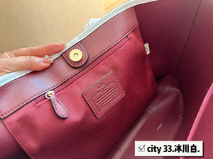 2023 COA handbag -179